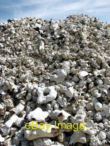 Photo 6x4 flints - 6x4, caistor