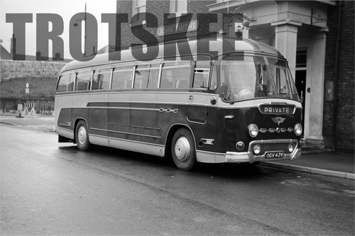 35mm negative brown caistor - negative,